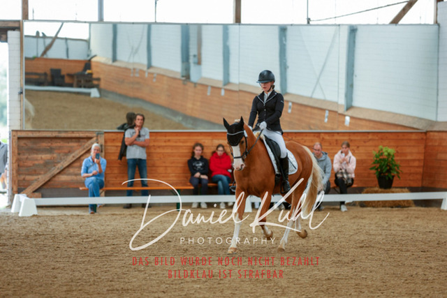 _62_7631 | Turniersportfotografie; Pferdefotografie; Dressurfotografie