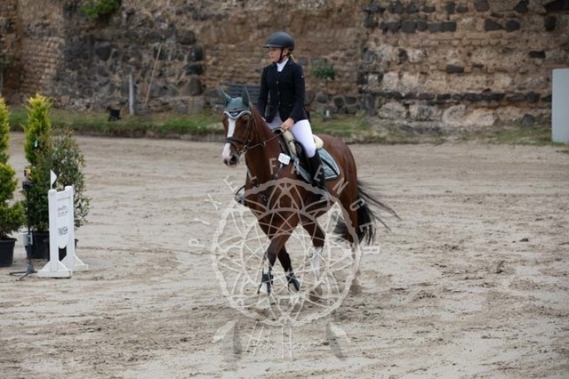 2B4A2285 | pixelfaenger - Realisiert mit Pictrs.com