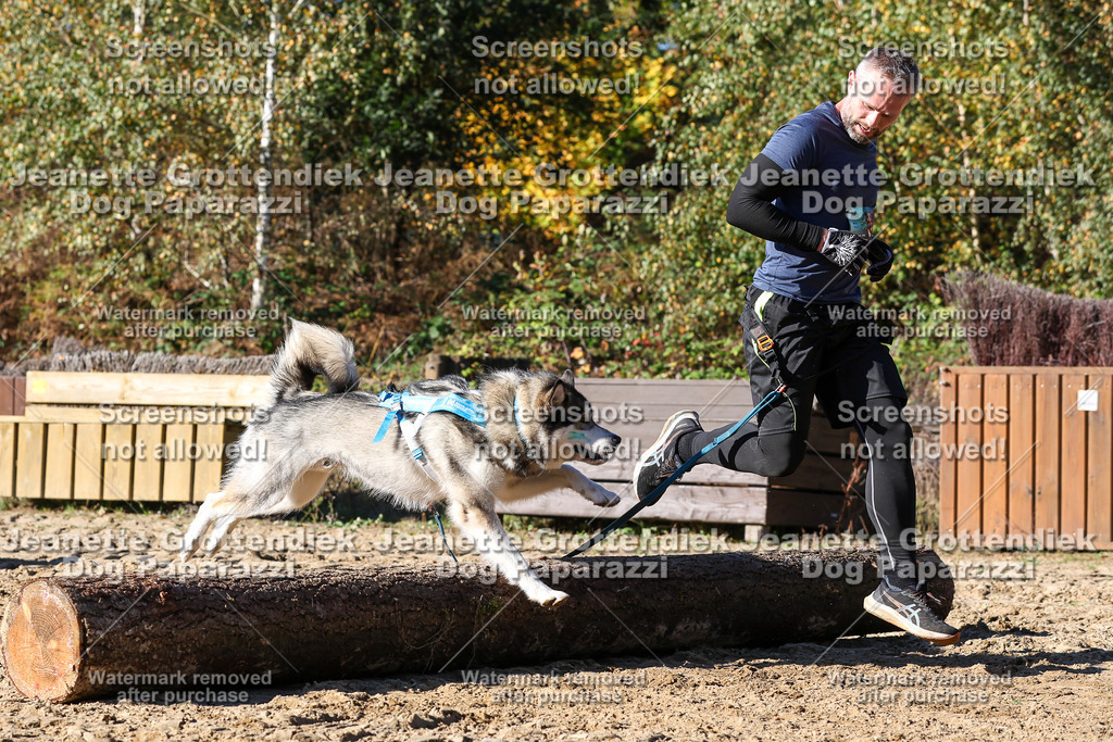 Dog Paparazzi - Strongdog 10-25-2628 | Dog Paparazzi Jeanette Grottendiek Fotografie & Videografie - Realisiert mit Pictrs.com