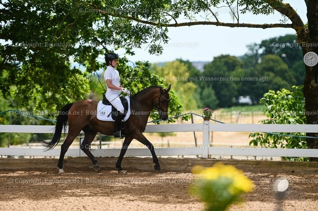 20230715_05_Dressurprüfung Kl.A++_0025 | equistock