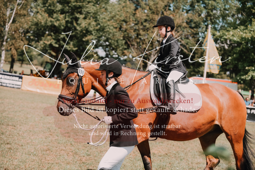 DSC_6130 | Pferde- und Turnierfotografie in Westsachsen. Pferdeportraits, Auftragszeichnungen und intuitive Kunst.