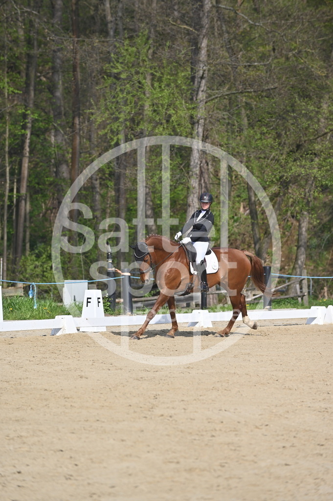 DSC_0450 | sattelsport - Realisiert mit Pictrs.com