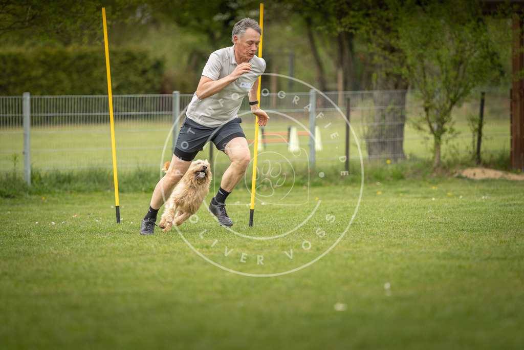 Pfotenfotografie_DV3A1979 | Hundefotografie, Tierfotograf, Pfotenfotografie, Fotoshooting Hund, Hunde Portrait, Hundesport, Hundeportraits, Heideshooting, Hunde, Sportfotograf, Hundefotograf, Turnierhundsport, THS,  - Realisiert mit Pictrs.com
