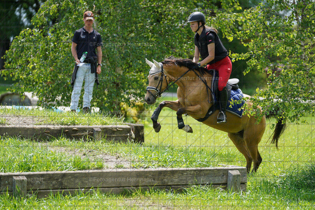 20240622-FAH07342 | Turnierfotografen Bayern, Reitsportbilder aus dem Geländekurs mit Felix Etzel auf dem Gut Waitzacker 2024