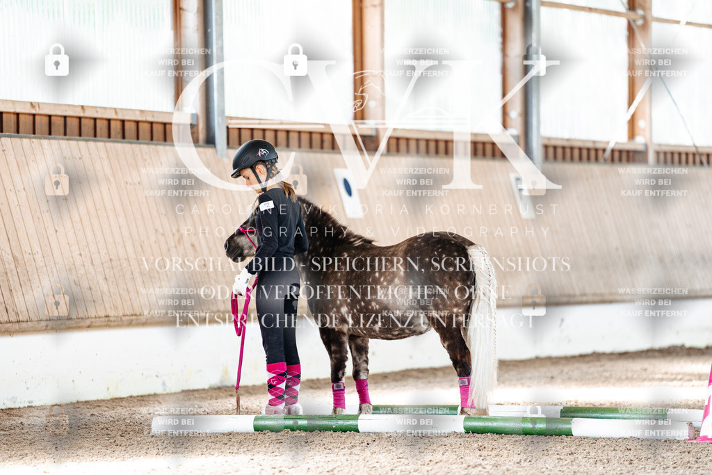 CK905297 | Turnierfotografie Pferdefotografie Trier Rheinland-Pfalz Pferdesport Reitsport Tierfotografie Sportfotografie Pferdevideo Pferdevideografie Equestrianvideography equestrianphotography  - Realisiert mit Pictrs.com