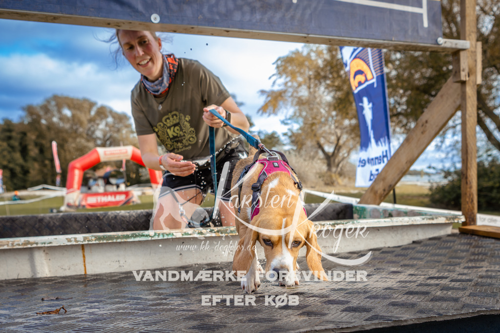 1538_ZZ96931 | kk-dogfotos