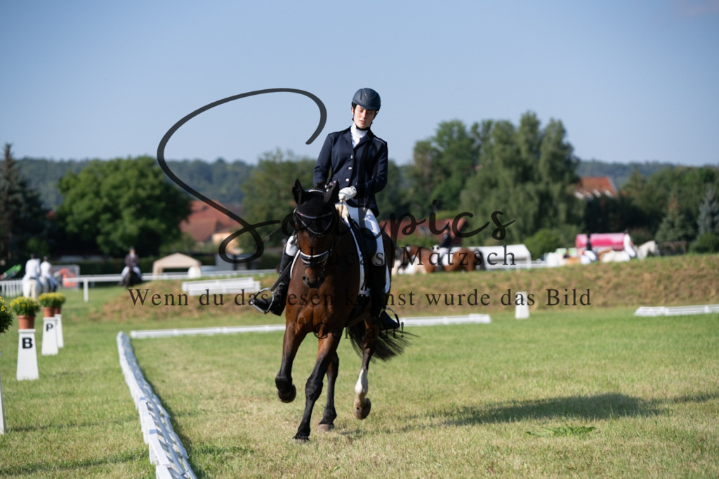 A7V09346 | Pferdefotograf