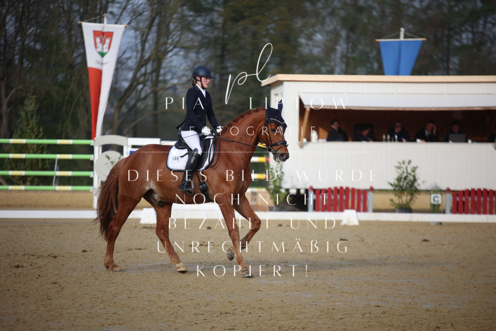 IMGT8349 | pl-fotografie