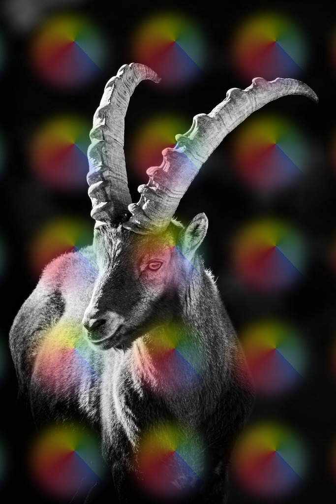 148A1075 | FineArtPrint, Hahnemühle, FeeGalerie, Fee Galerie, Fotokunst, Fotografie, Canonphotography, Bergfoto, Matterhorn, Rimpfischhorn, Allalinhorn, Saas-Fee, Wallis, Valais, Switzerland, Bergfotografie