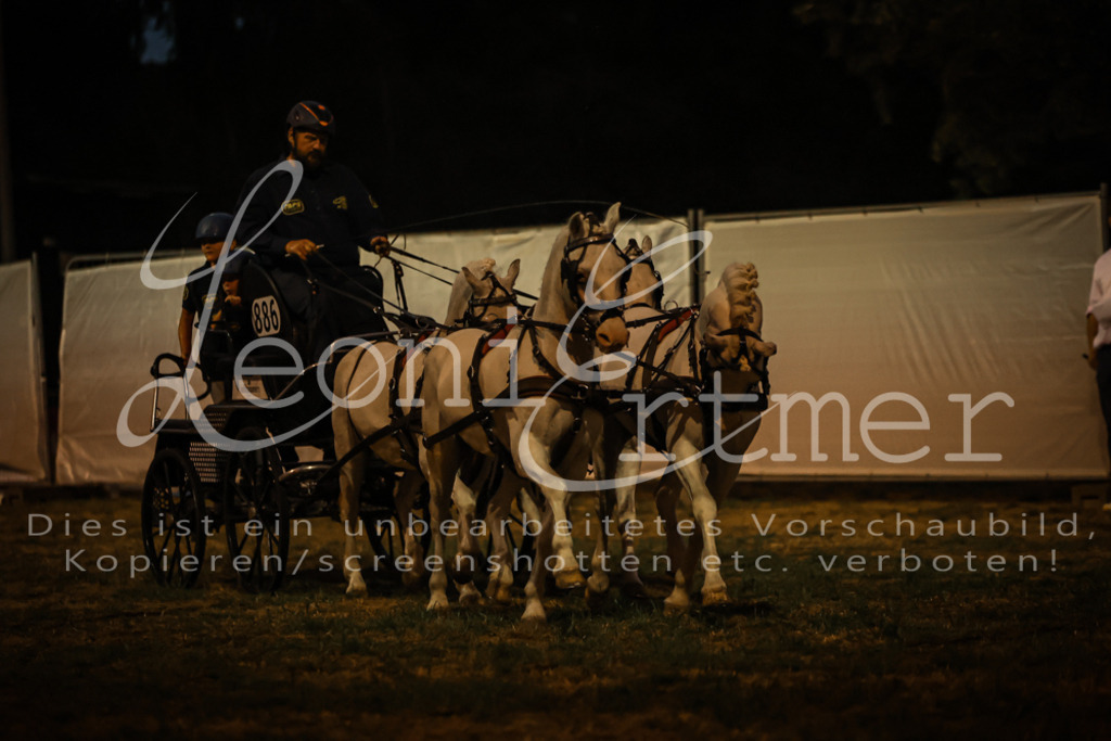 SaShow00313 | Leoni Ertmer Photography - Realisiert mit Pictrs.com