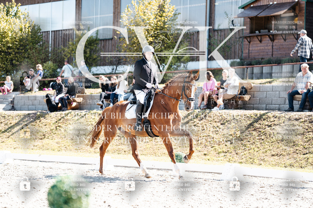 CK903344 | Turnierfotografie Pferdefotografie Trier Rheinland-Pfalz Pferdesport Reitsport Tierfotografie Sportfotografie Pferdevideo Pferdevideografie Equestrianvideography equestrianphotography  - Realisiert mit Pictrs.com
