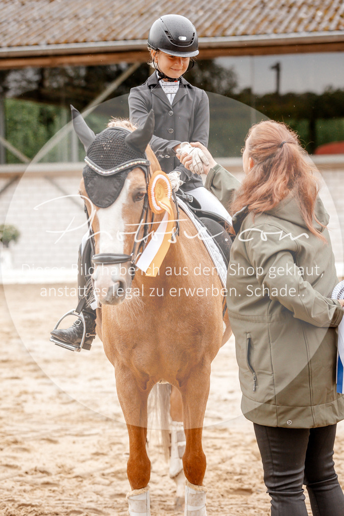 3I6A6001 | Stimmungsvolle Portraits und Reitsportfotografie im Ruhrgebiet und im Münsterland.

Pferdefotografie, Hundefotografie, Tierfotografie, Reportagen, Portraits von Tier und Mensch, Turnierfotografie in Bochum, Recklinghausen, Marl, Haltern am See, Dülmen.. - Realisiert mit Pictrs.com