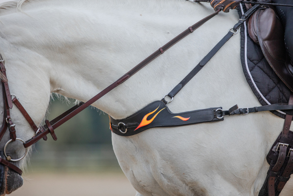 846A0304 | fotosleben - Realisiert mit Pictrs.com