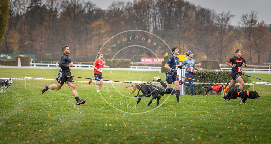 CaniXpix_DV3A9521 | Hundefotografie, Tierfotograf, Pfotenfotografie, Fotoshooting Hund, Hunde Portrait, Hundesport, Hundeportraits, Heideshooting, Hunde, Sportfotograf, Hundefotograf, Turnierhundsport, THS,  - Realisiert mit Pictrs.com
