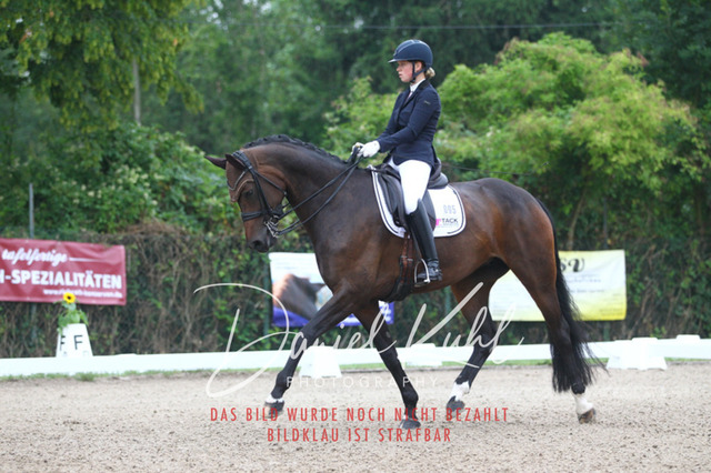 DKP40003 | Turniersportfotografie; Pferdefotografie; Dressurfotografie