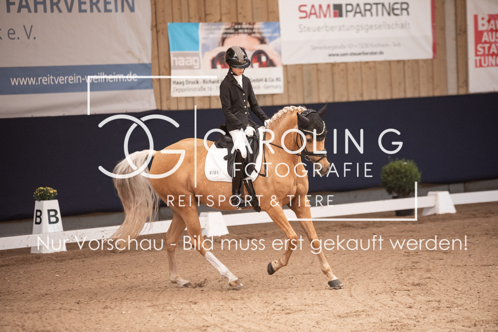 DSC_3263 | Carolin Gieschke