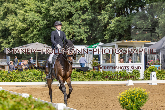 16.8.25 D1 DRE M-178 | mandyhollmannphotographie