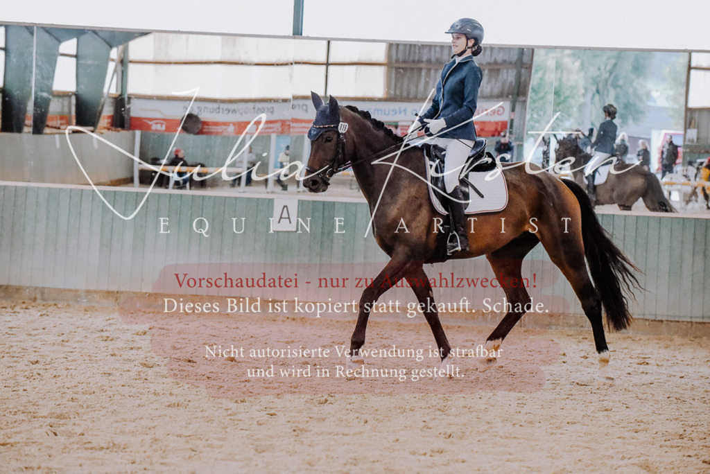 DSC_7628 | Pferde- und Turnierfotografie in Westsachsen. Pferdeportraits, Auftragszeichnungen und intuitive Kunst.