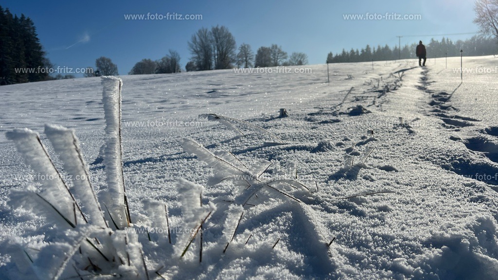 IMG_E6744 | www.foto-fritz.com - Realisiert mit Pictrs.com