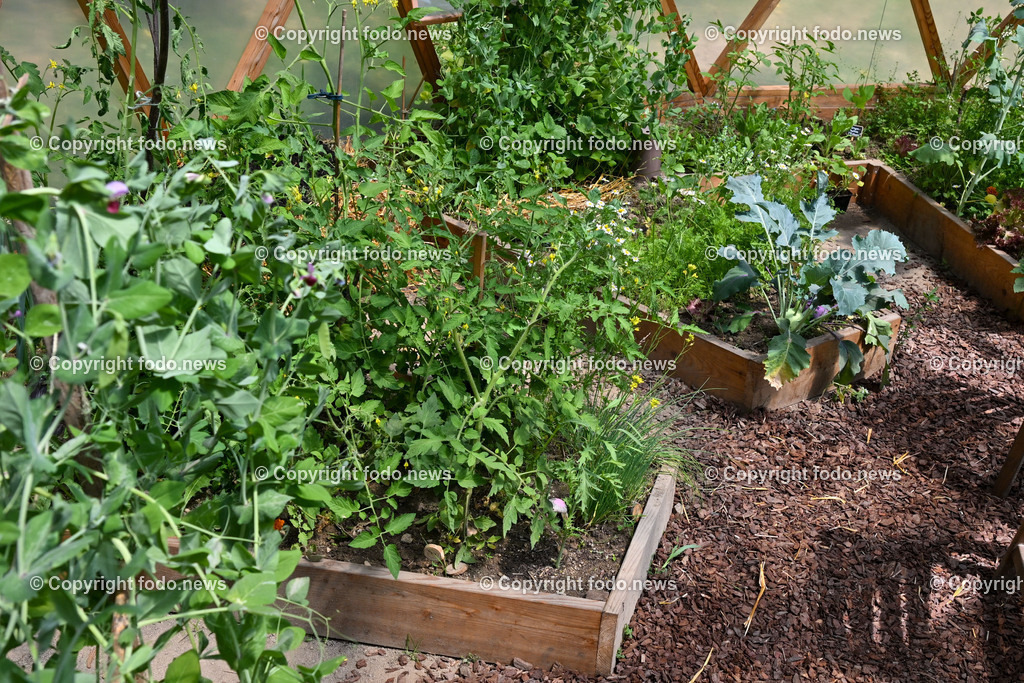 Freistadt_ Festival der Regionen_ VegCub_ 22.06.2023-5 | 22.06.2023, Freistadt, AUT, Festival der Regionen, im Bild VegCub