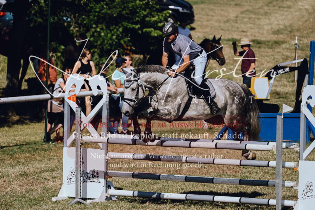 DSC_1980 | Pferde- und Turnierfotografie in Westsachsen. Pferdeportraits, Auftragszeichnungen und intuitive Kunst.