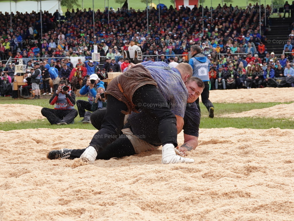 DSC08021 | Schwingen - Realisiert mit Pictrs.com