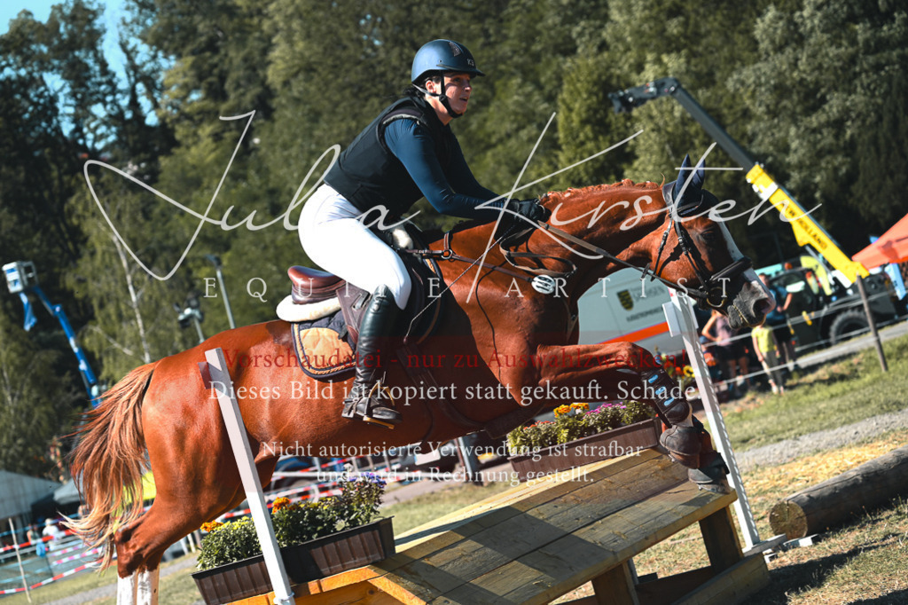 DSC_7990 | Pferde- und Turnierfotografie in Westsachsen. Pferdeportraits, Auftragszeichnungen und intuitive Kunst.