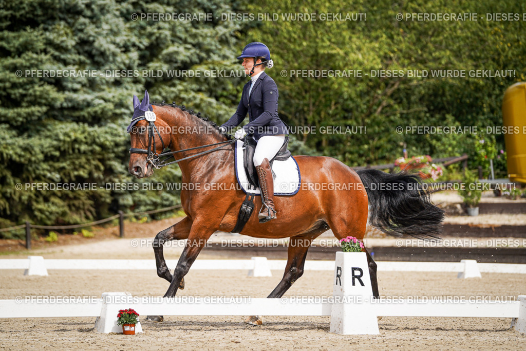 DSC05231 | Pferdegrafie