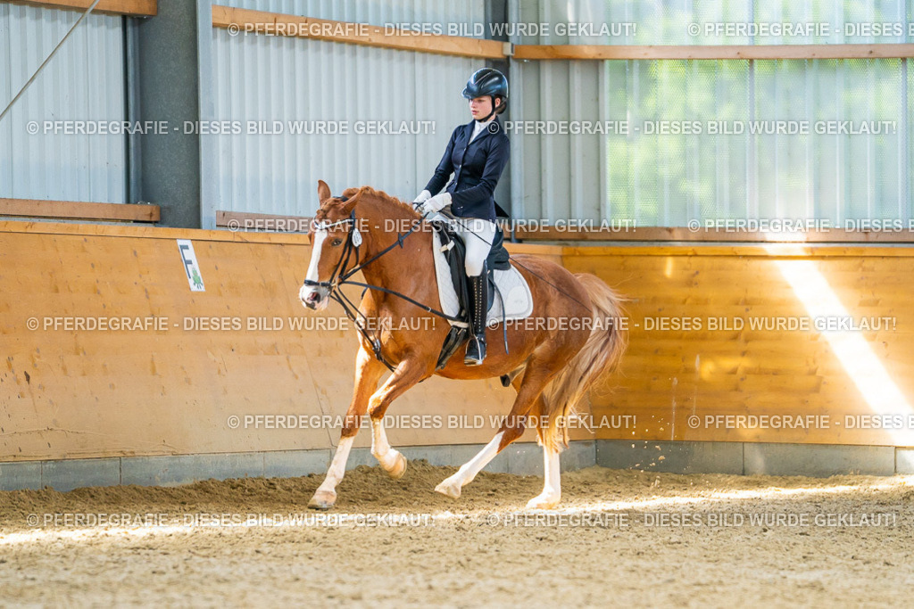 DSC08640 | Pferdegrafie