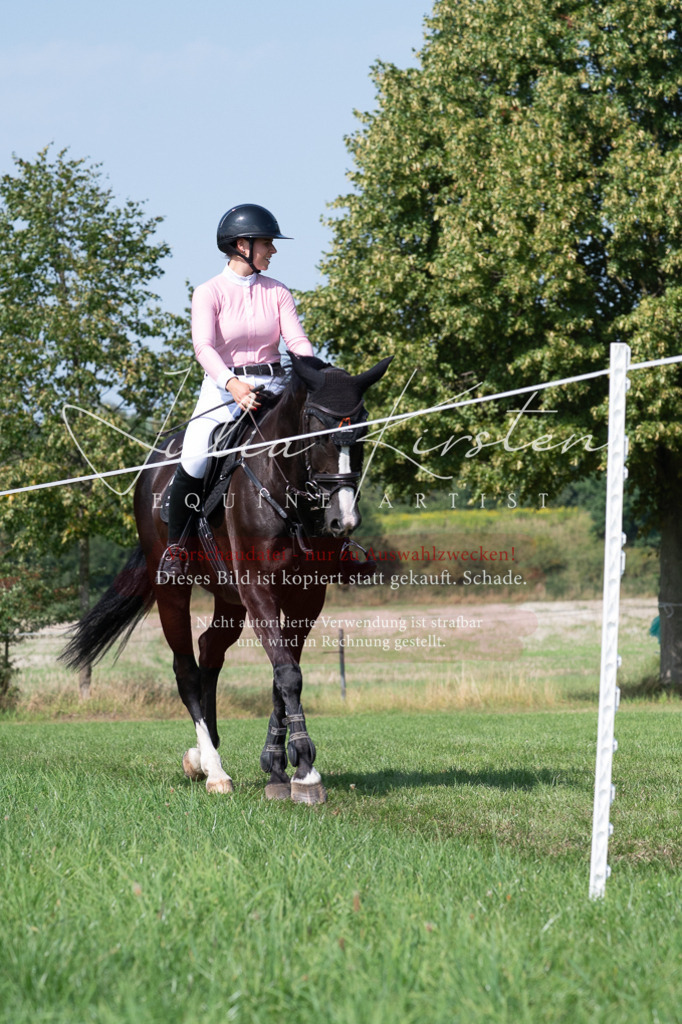 DSC_0867 | Pferde- und Turnierfotografie in Westsachsen. Pferdeportraits, Auftragszeichnungen und intuitive Kunst.