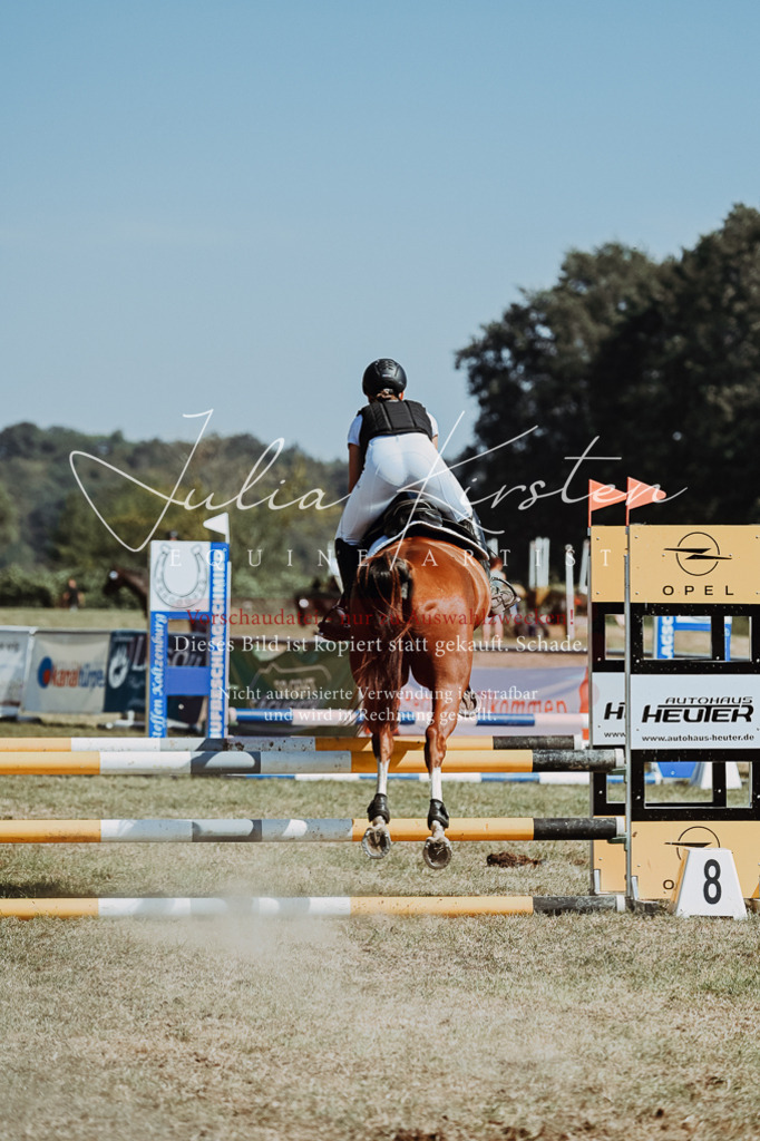 DSC_9944 | Pferde- und Turnierfotografie in Westsachsen. Pferdeportraits, Auftragszeichnungen und intuitive Kunst.
