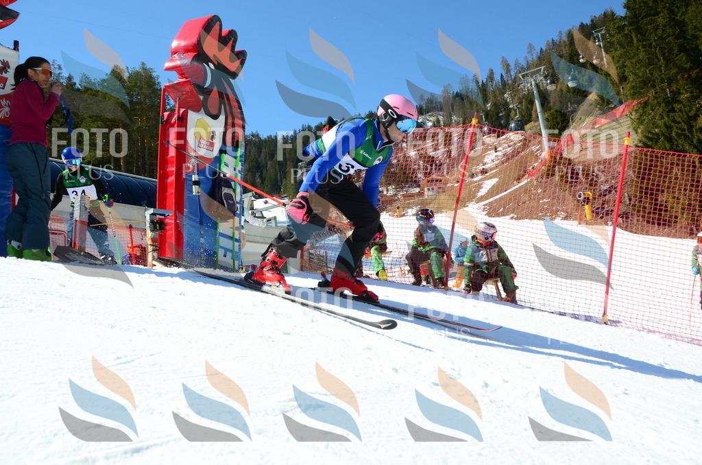 C6959 | holidayphoto