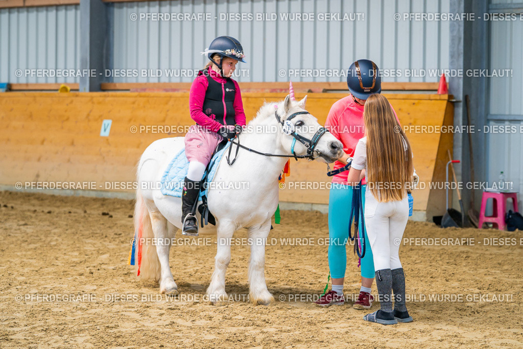 DSC00849 | Pferdegrafie