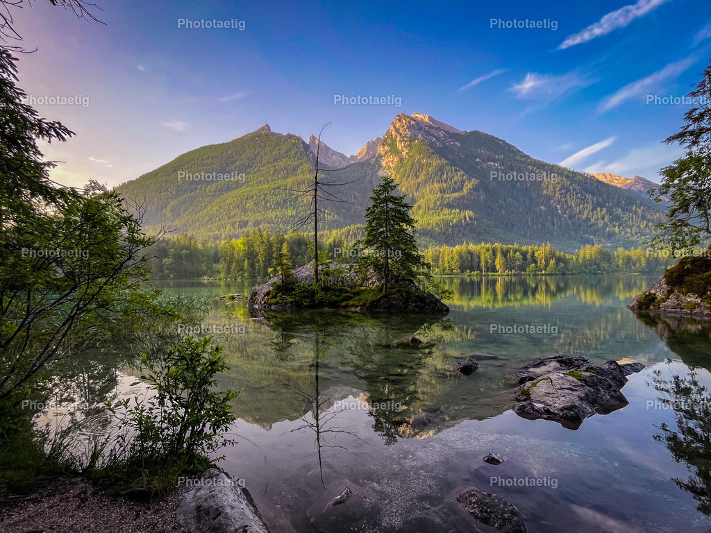 IMG_0319 | phototaetig