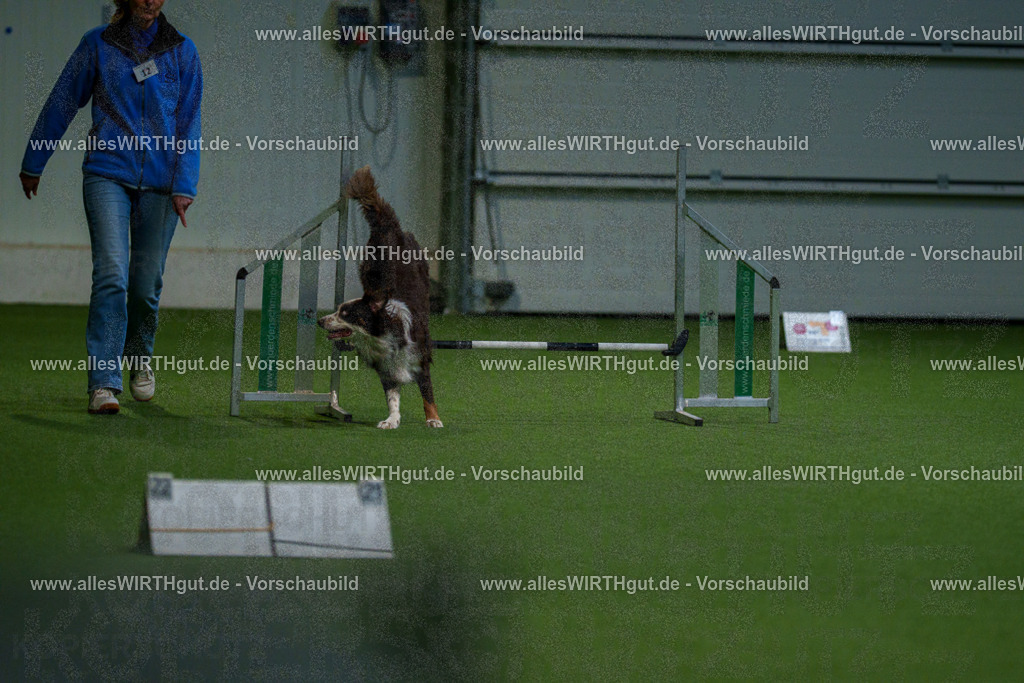 7R505113 | Professionelle Tierfotografie in Mönchengladbach von Daniel Wirth (allesWIRTHgut). Liebevolle & natürliche Bilder von Hunden & Katzen für unvergessliche Erinnerungen.