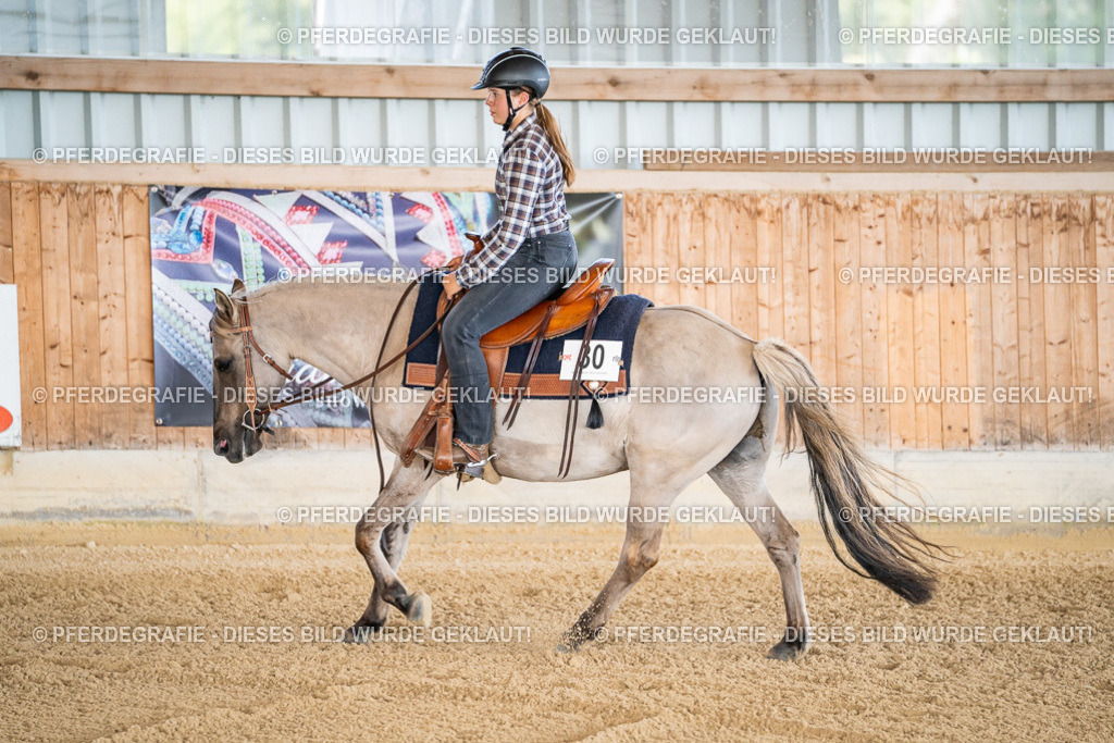 DSC01840 | Pferdegrafie