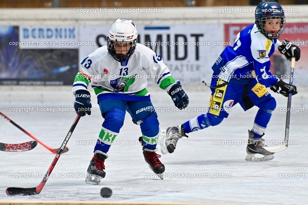 Dukes RINK Rumble Spittal a.d.Drau 9.-10.9.2023 | hockey sports photos, Pressefotos, Sportfotos, hockey247, win 2day icehockeyleague, Handball Austria, Floorball Austria, ÖVV, Kärntner Eishockeyverband, KEHV, KFV, Kärntner Fussballverband, Österreichischer Volleyballverband, Alps Hockey League, ÖFB, 