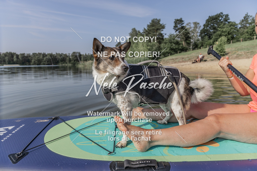 BUHU_SUP_008 | nelerasche