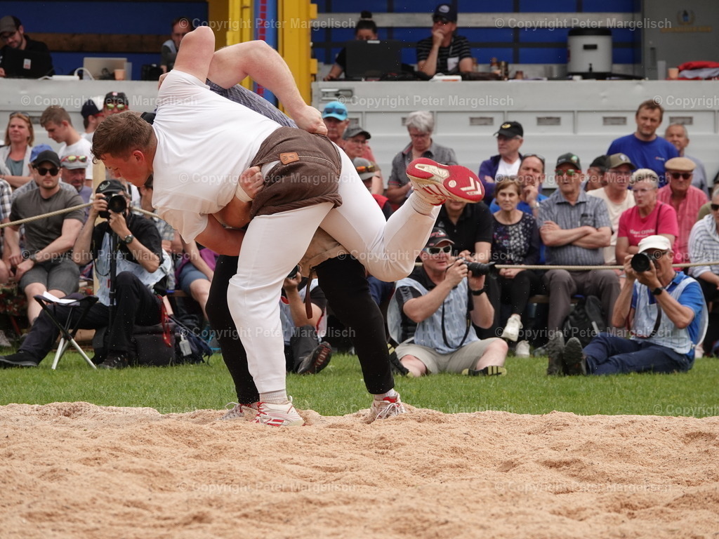 DSC07492 | Schwingen - Realisiert mit Pictrs.com