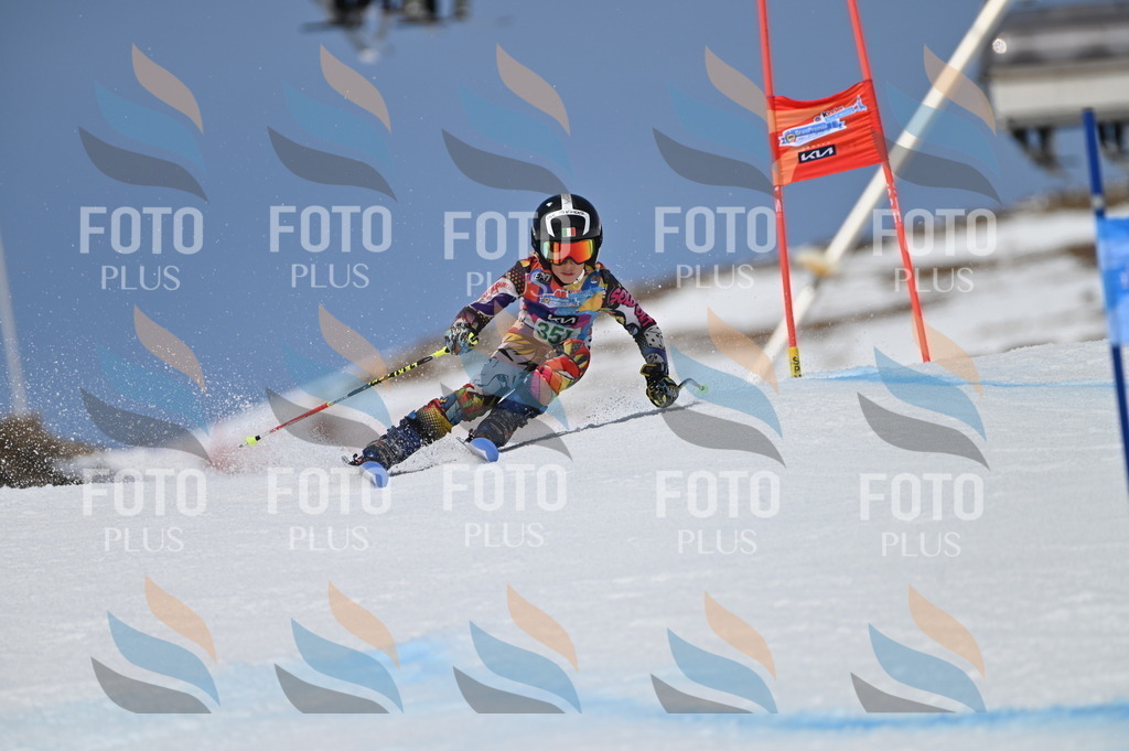 BGV_7044 | holidayphoto