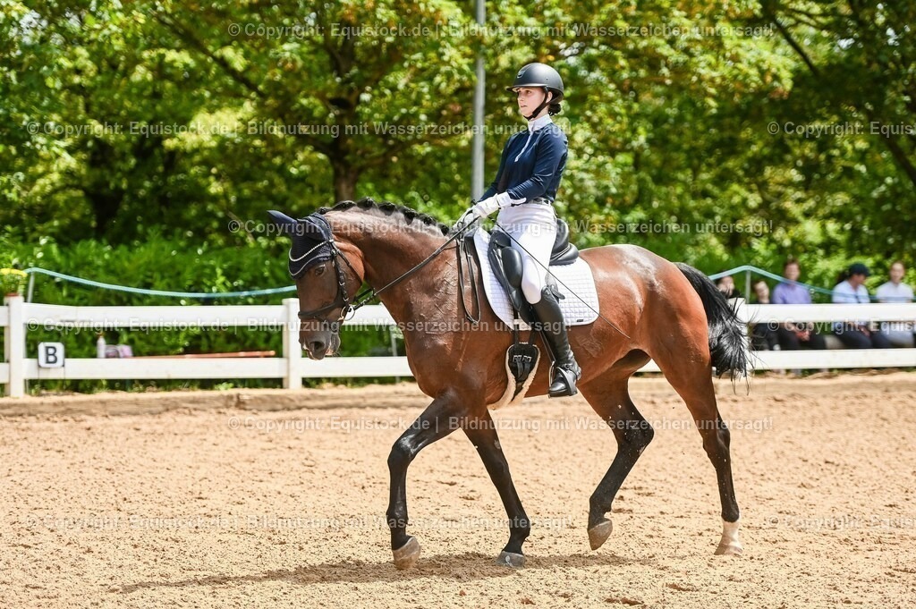 20230716_03_Dressurprfg. Kl.L - Tr._0291 | equistock