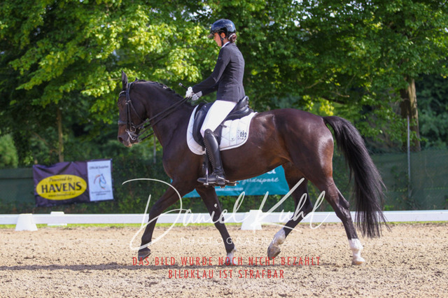 DKP41304 | Turniersportfotografie; Pferdefotografie; Dressurfotografie