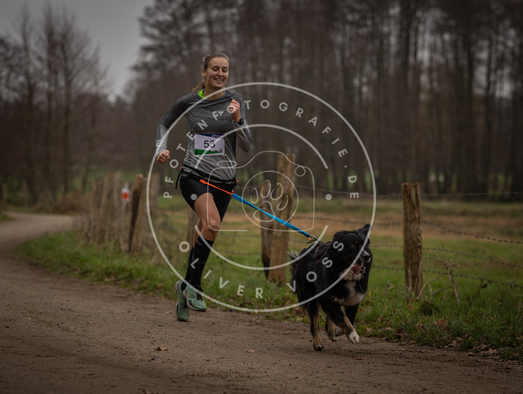 Pfotenfotografie_DV3A2945 | Hundefotografie, Tierfotograf, Pfotenfotografie, Fotoshooting Hund, Hunde Portrait, Hundesport, Hundeportraits, Heideshooting, Hunde, Sportfotograf, Hundefotograf, Turnierhundsport, THS,  - Realisiert mit Pictrs.com