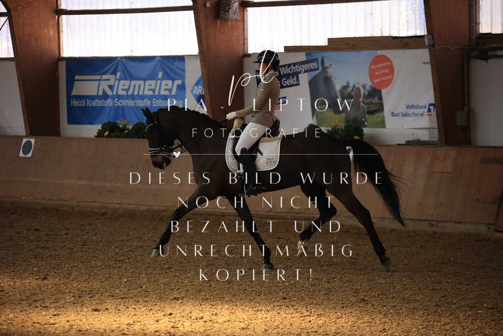 IMGT2619 | pl-fotografie