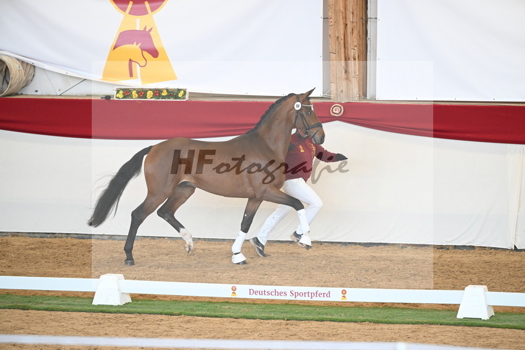 Kat.-Nr. 88 v. Vitalis_Schlamminger_2250664 | hf-fotografie - Realisiert mit Pictrs.com