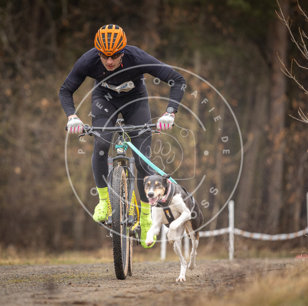 DV3A3185 | Hundefotografie, Tierfotograf, Pfotenfotografie, Fotoshooting Hund, Hunde Portrait, Hundesport, Hundeportraits, Heideshooting, Hunde, Sportfotograf, Hundefotograf, Turnierhundsport, THS,  - Realisiert mit Pictrs.com