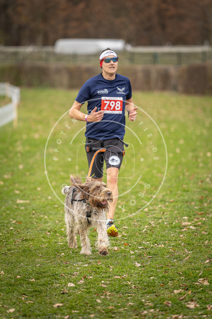 CaniXpix_DV3A6149 | Hundefotografie, Tierfotograf, Pfotenfotografie, Fotoshooting Hund, Hunde Portrait, Hundesport, Hundeportraits, Heideshooting, Hunde, Sportfotograf, Hundefotograf, Turnierhundsport, THS,  - Realisiert mit Pictrs.com