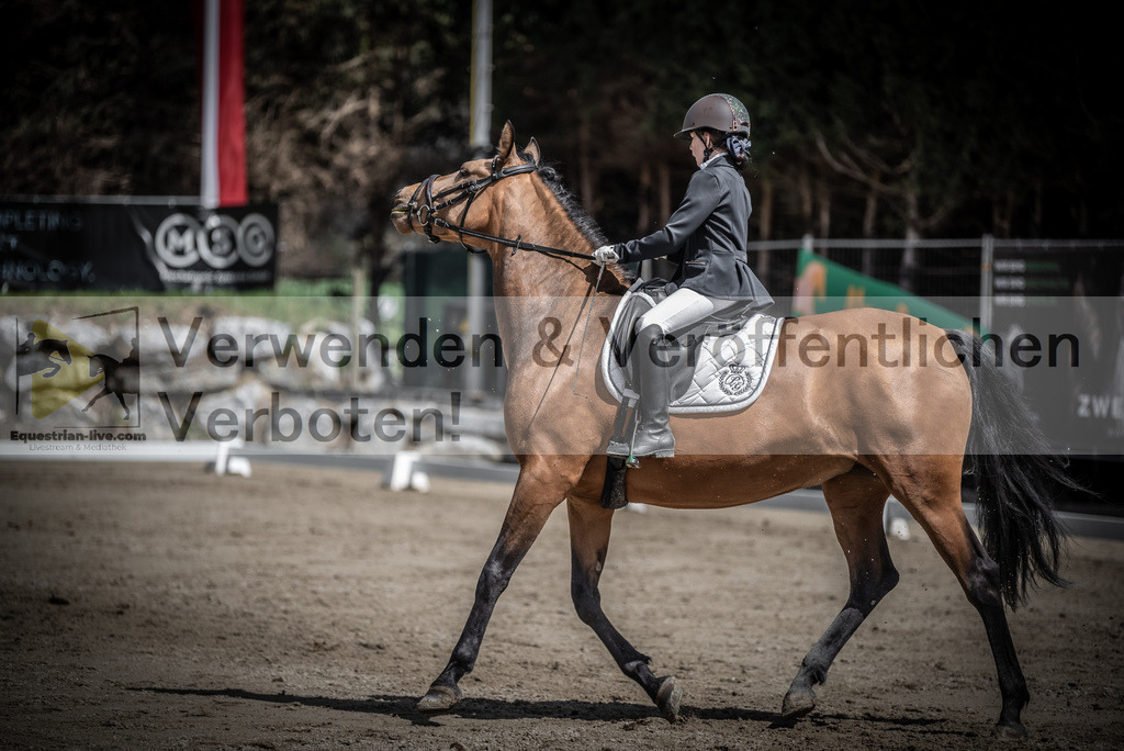 DSC_0804 | equestrian-live-com