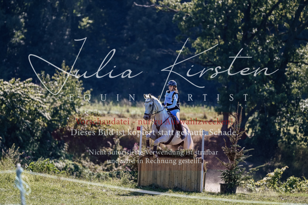 DSC_2022 | Pferde- und Turnierfotografie in Westsachsen. Pferdeportraits, Auftragszeichnungen und intuitive Kunst.