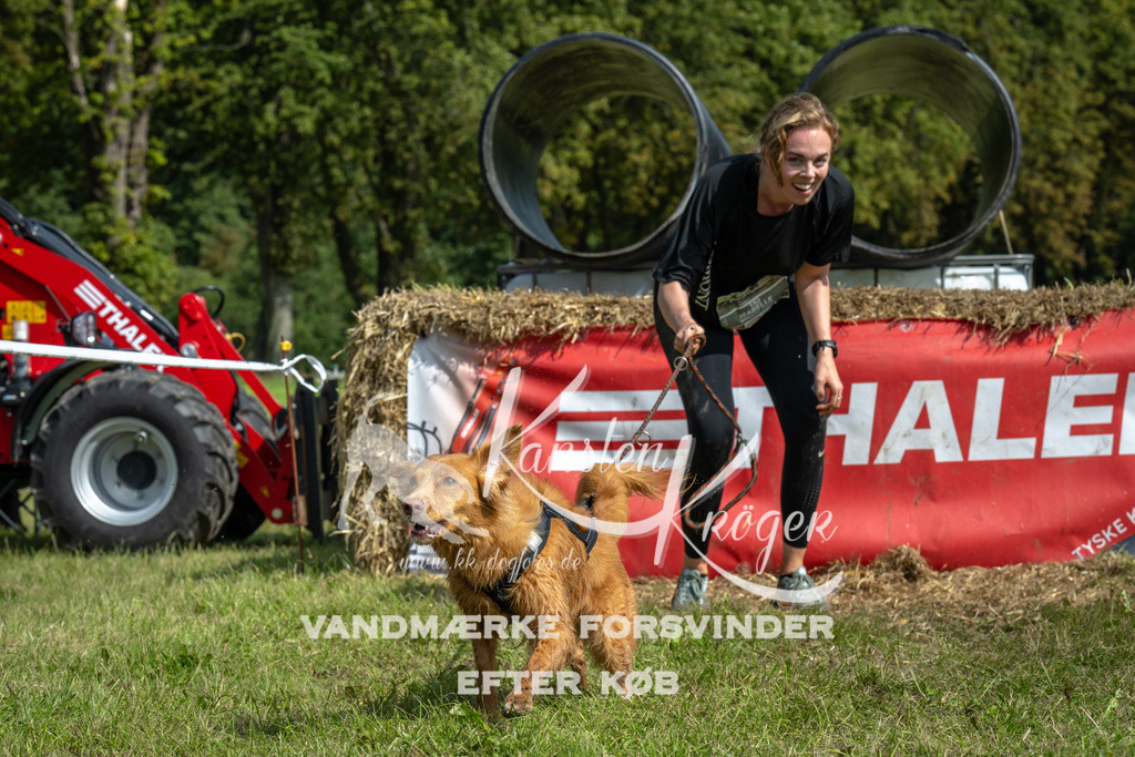 1307_ZZ92275 | kk-dogfotos